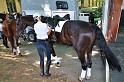 Polizeidirektion   132